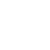 Logo Dronskytravel